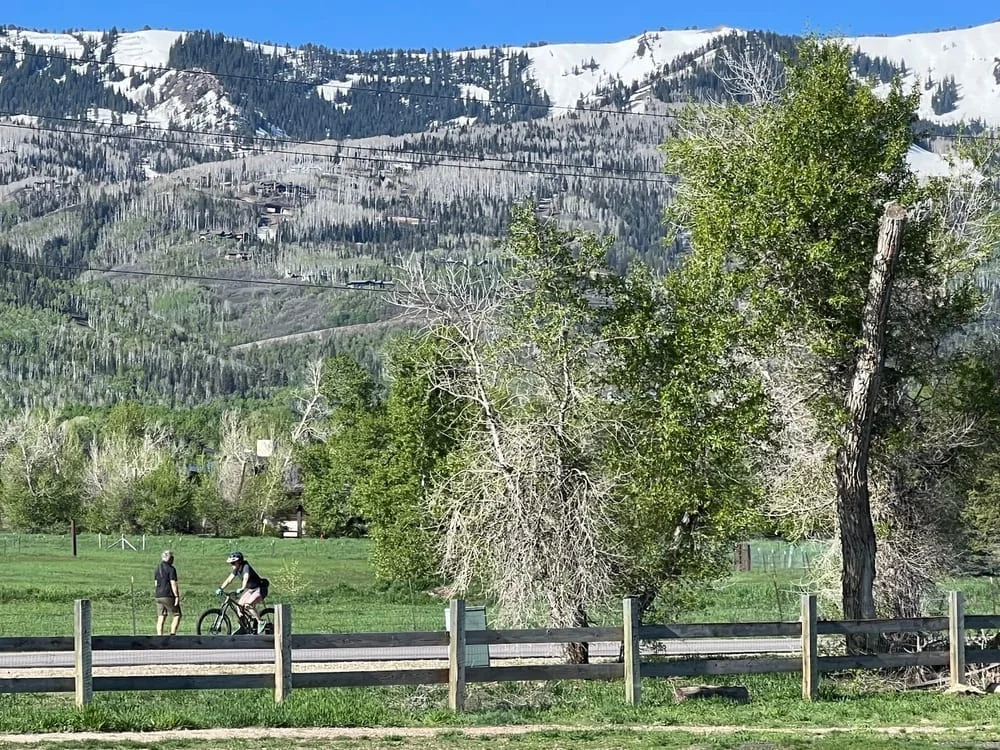 Willow Creek Dog Park, photo 3