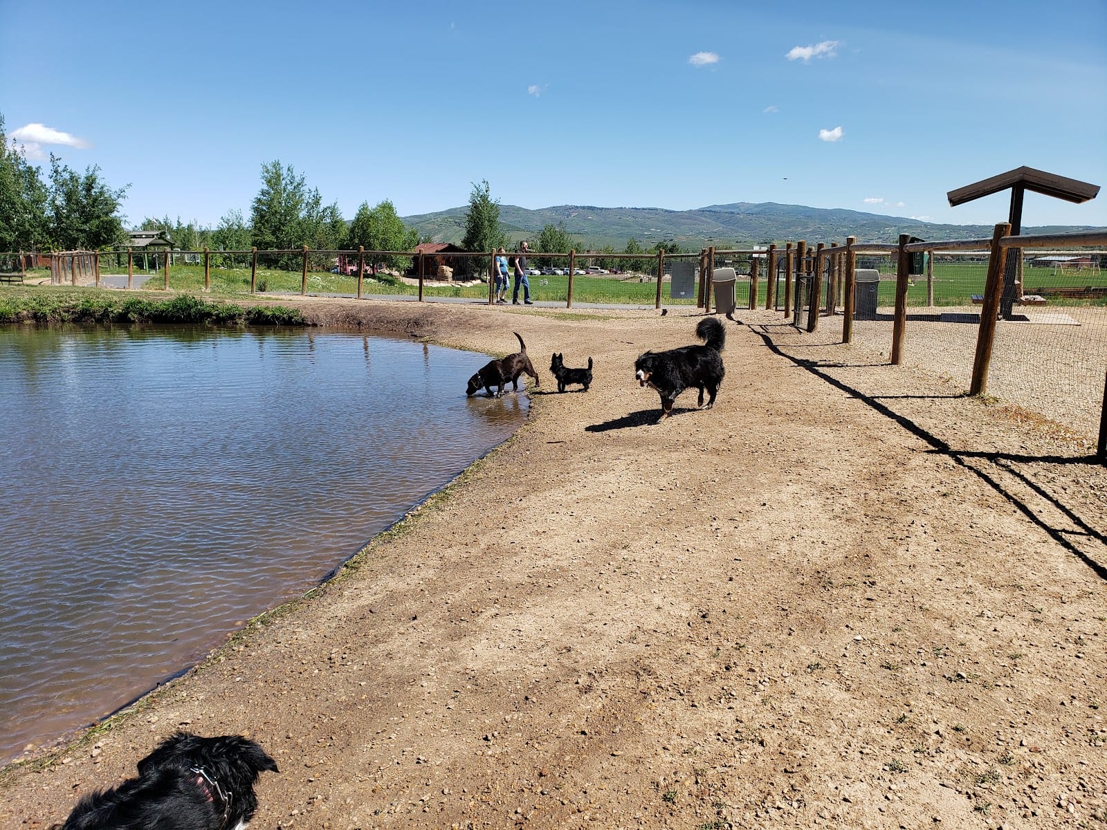 Willow Creek Dog Park