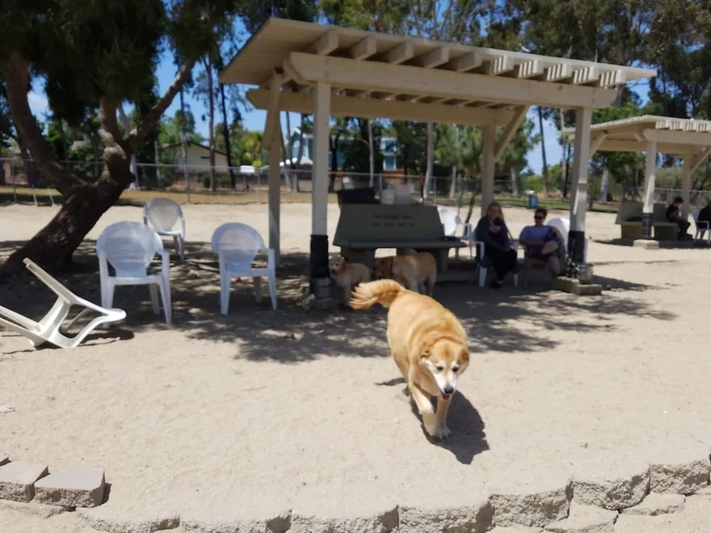 Canine Corners Dog Park, photo 2