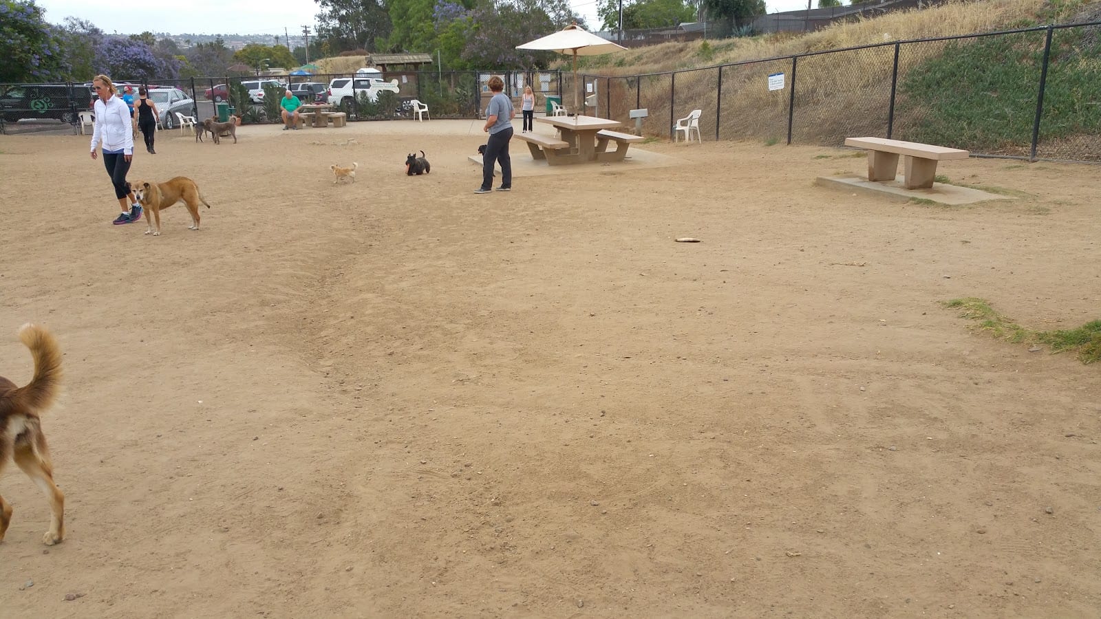 Capehart (Soledad) Dog Park