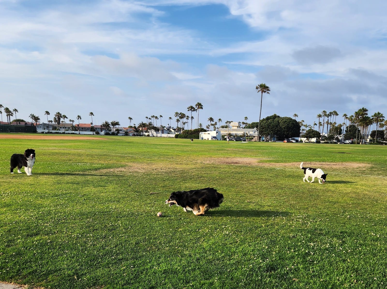 Coronado Cays Dog Park