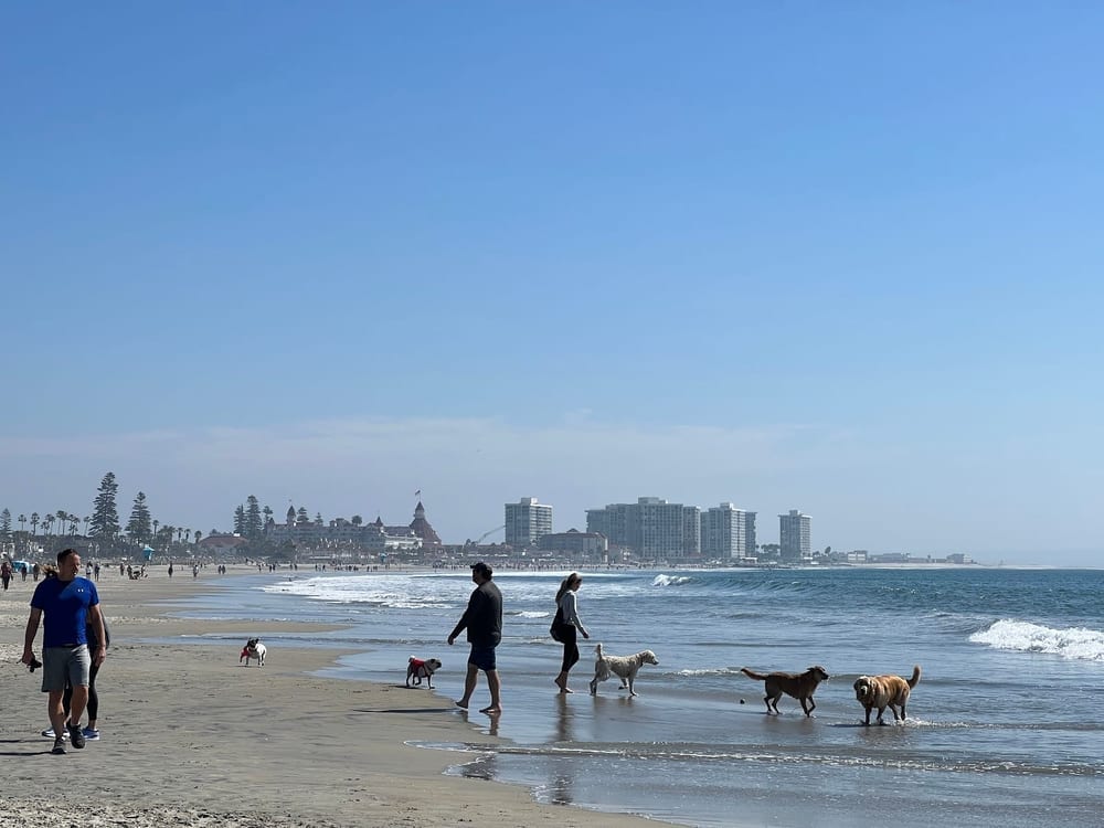 Coronado Dog Beach, photo 2