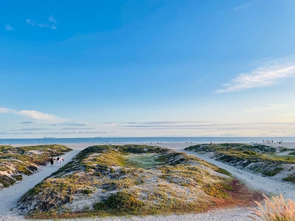 Coronado Dog Beach, photo 3