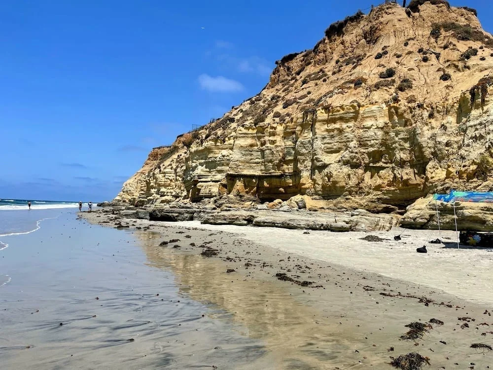 Del Mar Dog Beach, photo 2