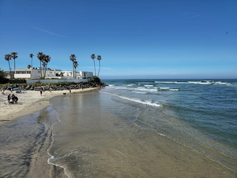 Del Mar Dog Beach, photo 3