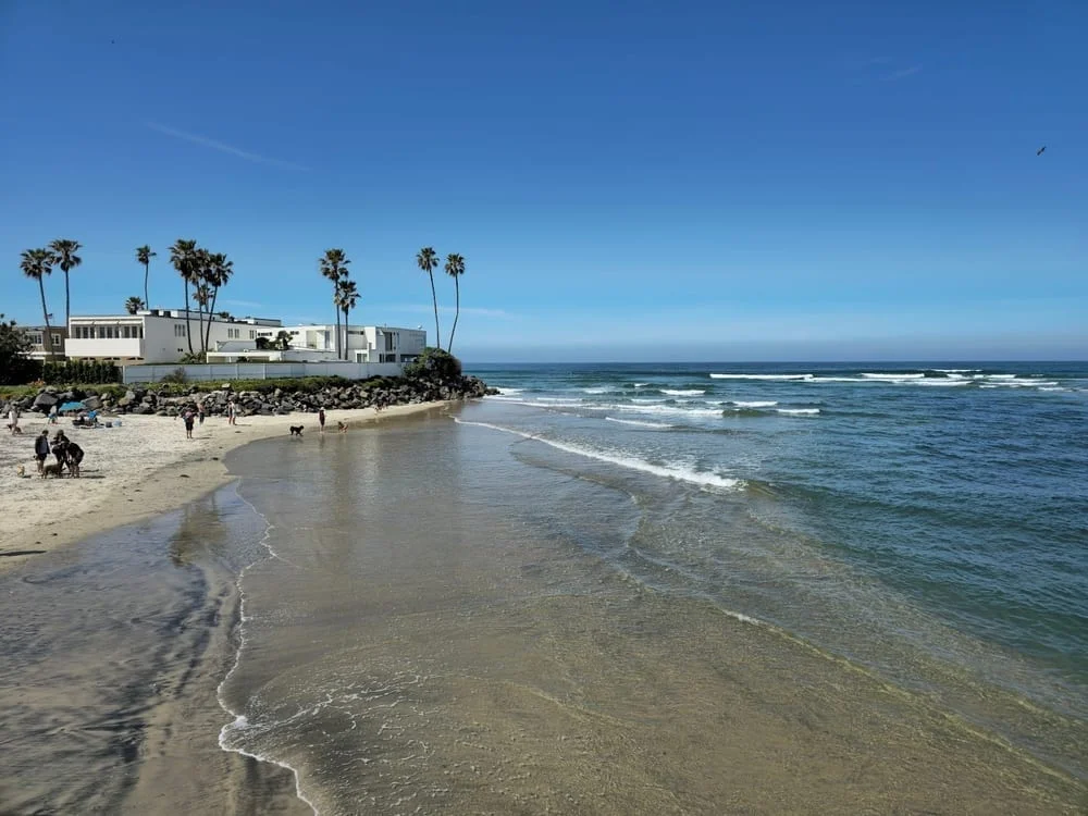 Del Mar Dog Beach, photo 3