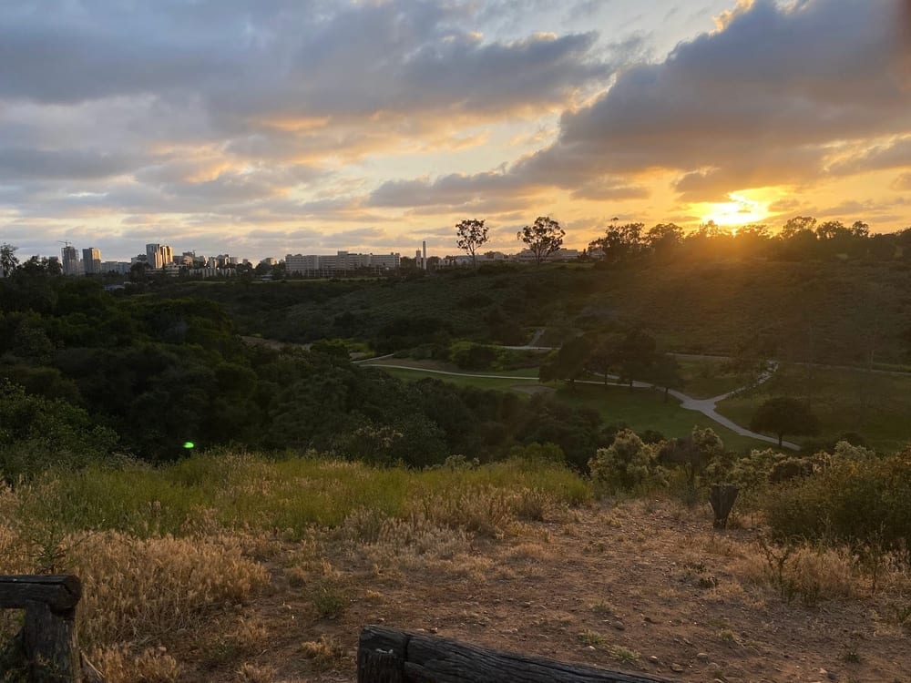 Grape Street Dog Park, photo 3
