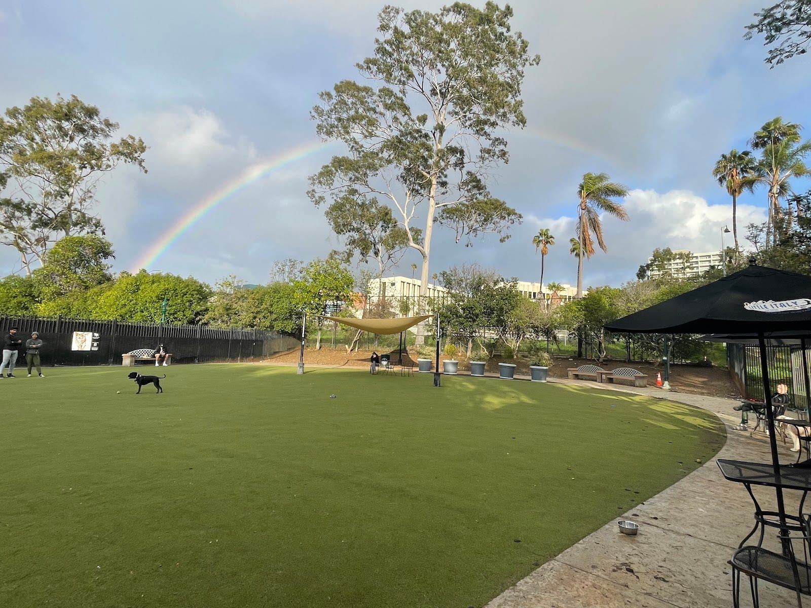 Little Italy Dog Park