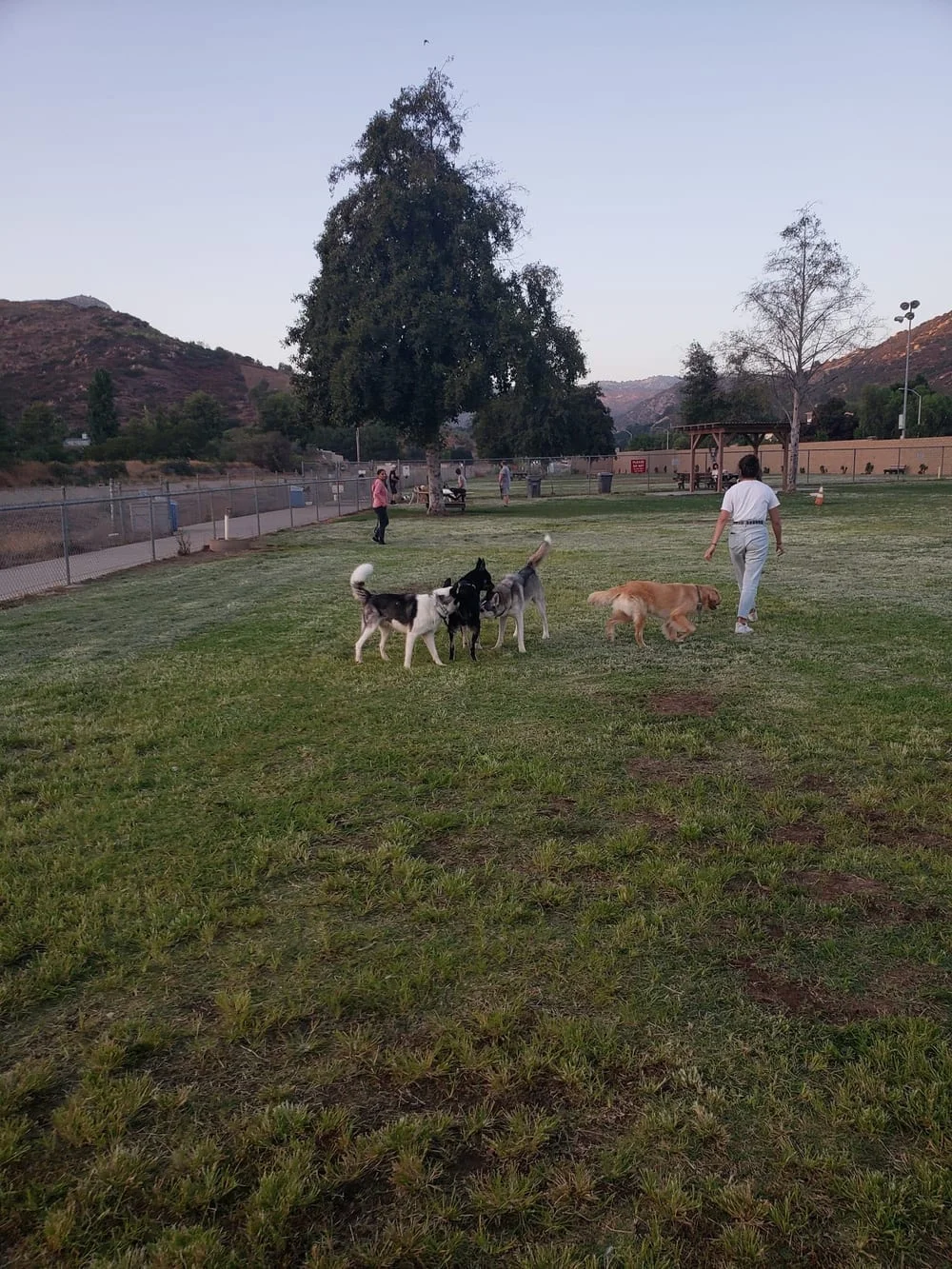 Mayflower Dog Park, photo 2