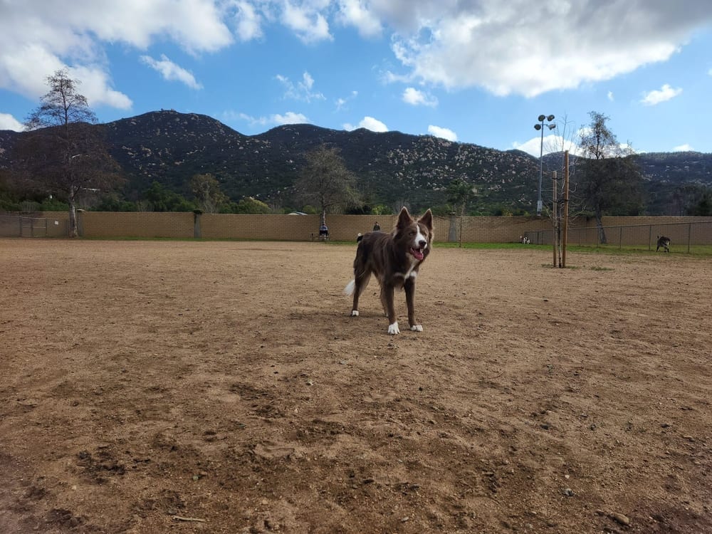 Mayflower Dog Park, photo 3