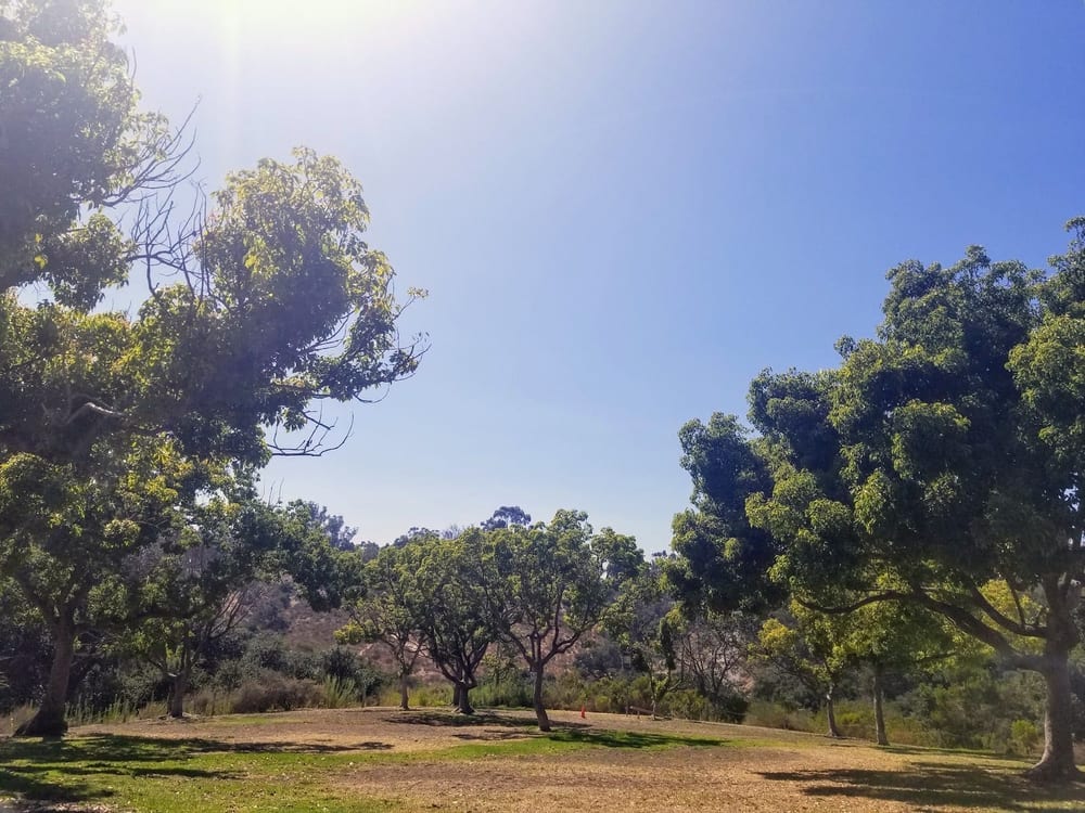 Morley Field Dog Park, photo 2