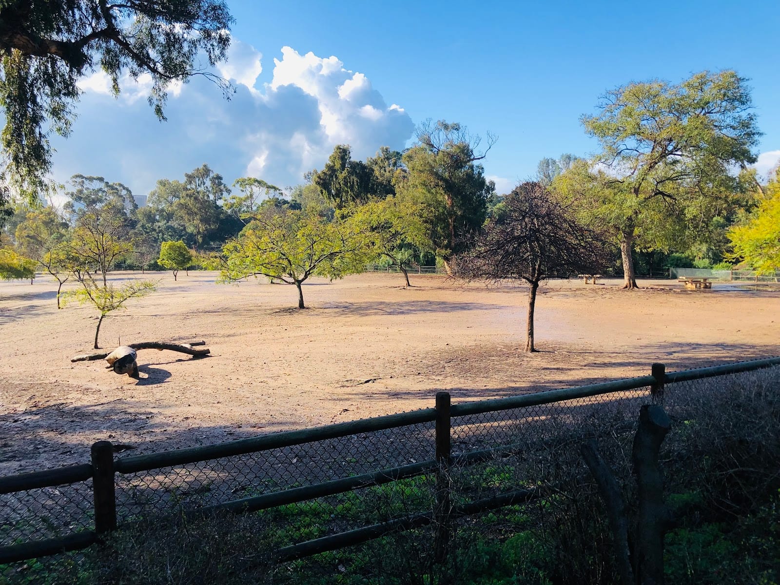 Nate's Point Dog Park
