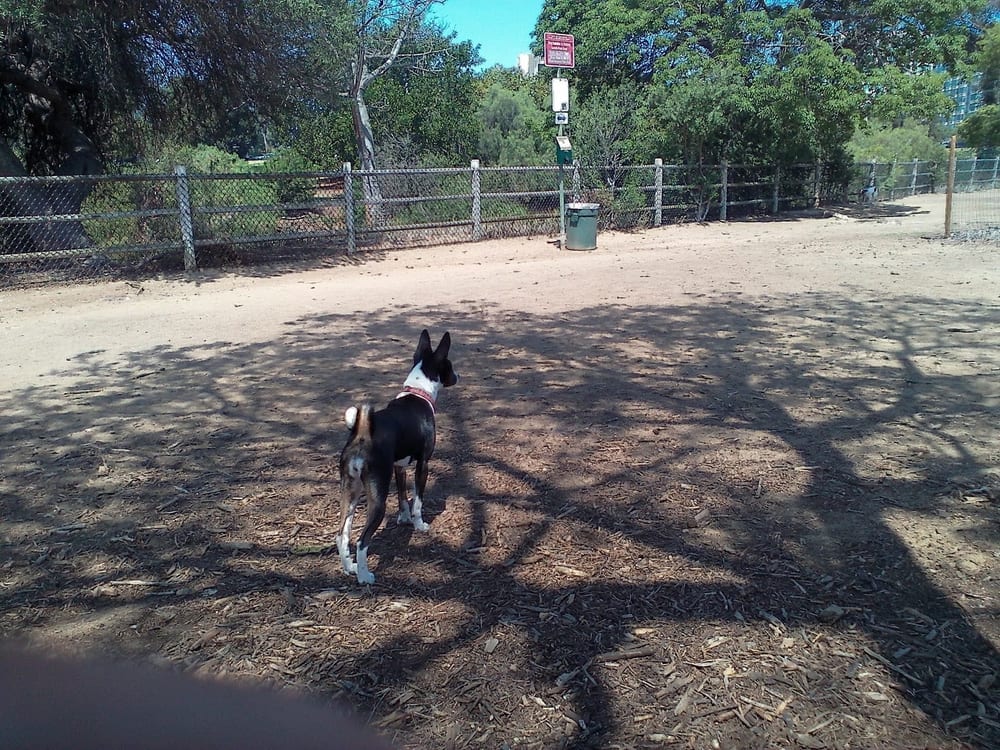 Nate's Point Dog Park, photo 2