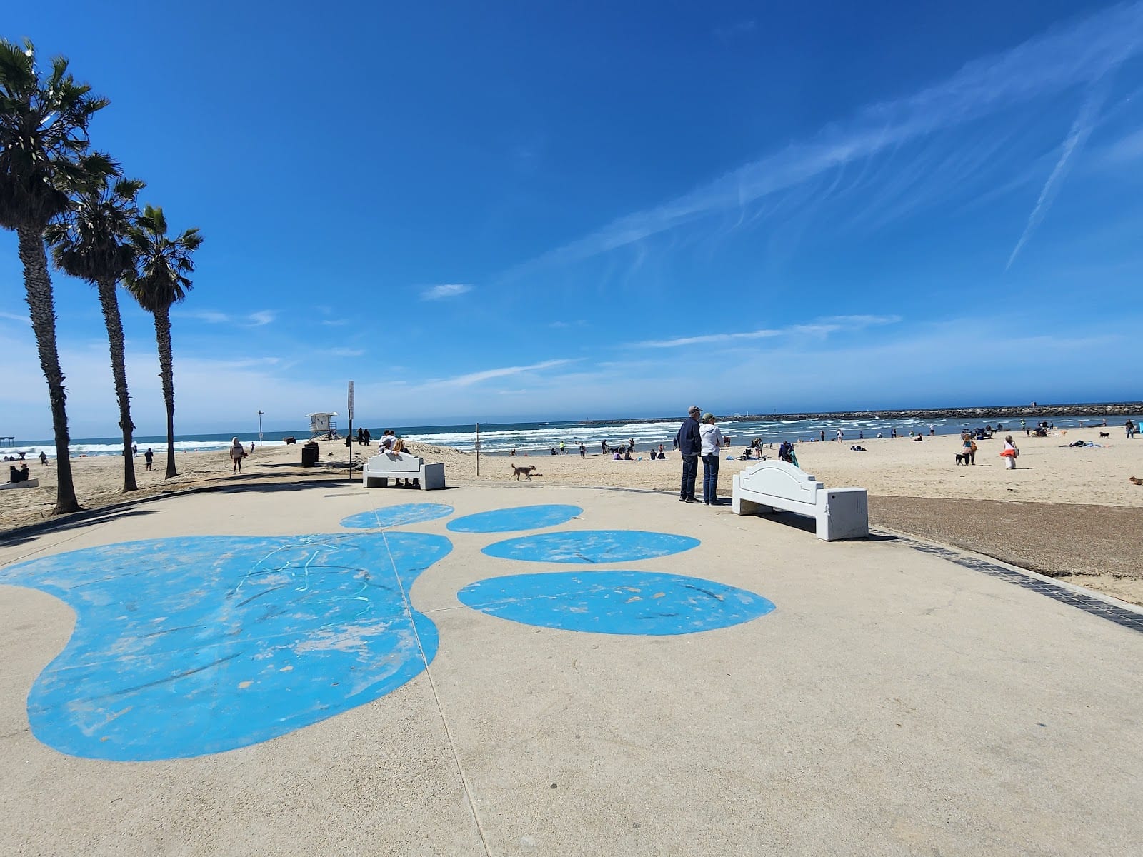 Ocean Beach | Dog Beach