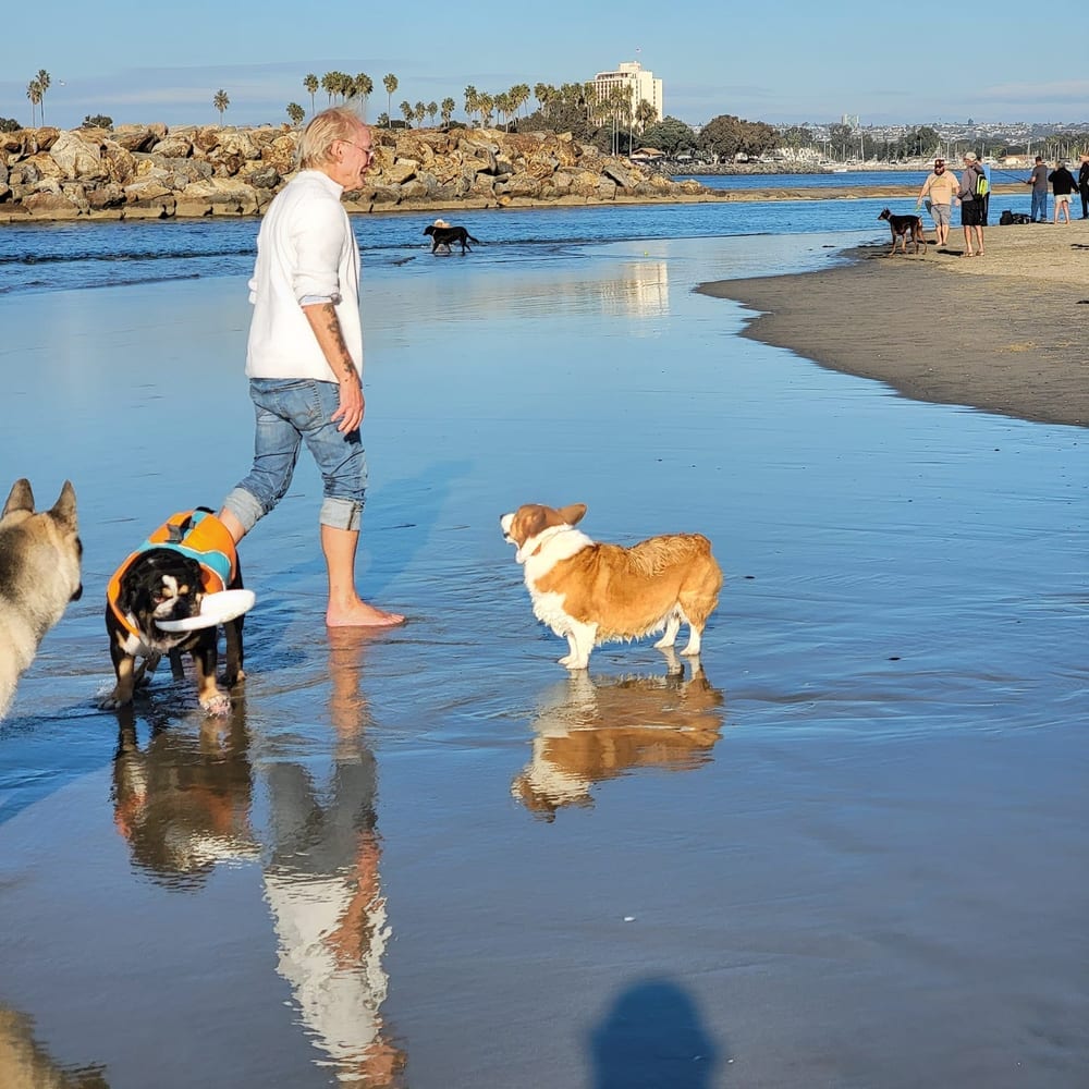 Ocean Beach | Dog Beach, photo 2