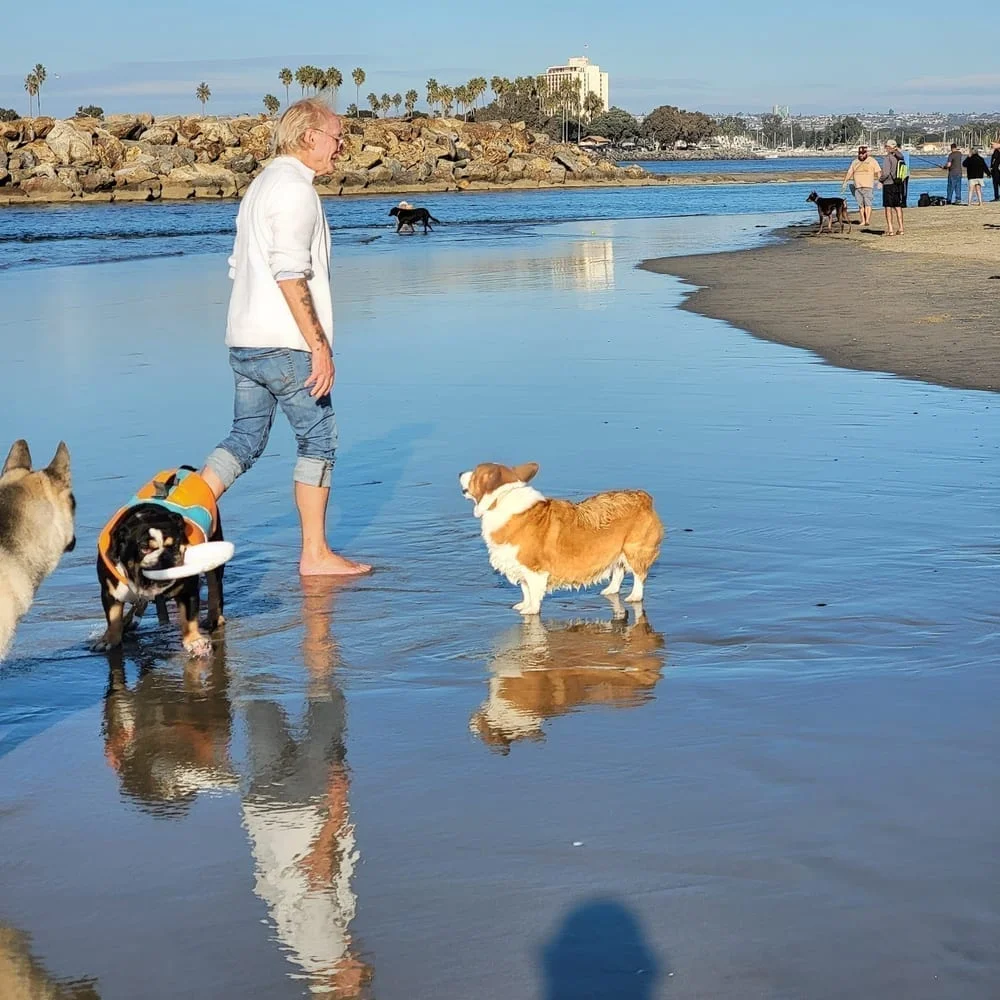 Ocean Beach Dog Beach, photo 2
