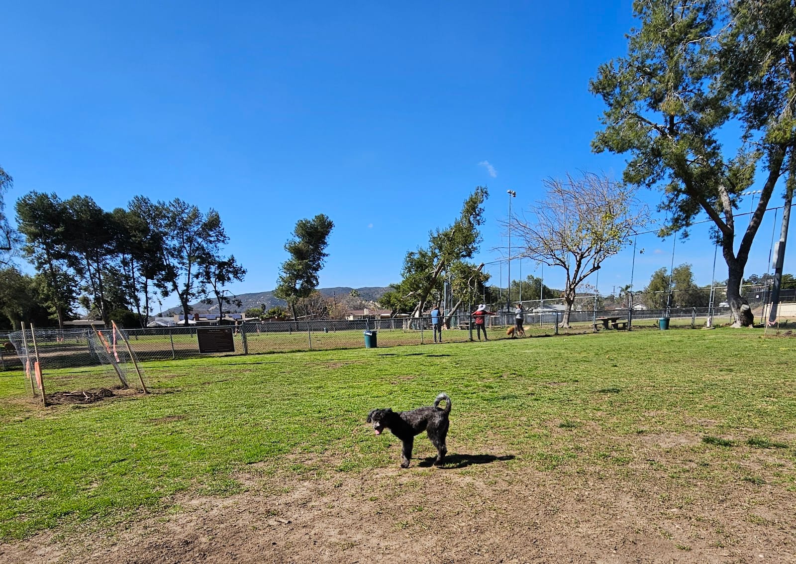 Poway Dog Park