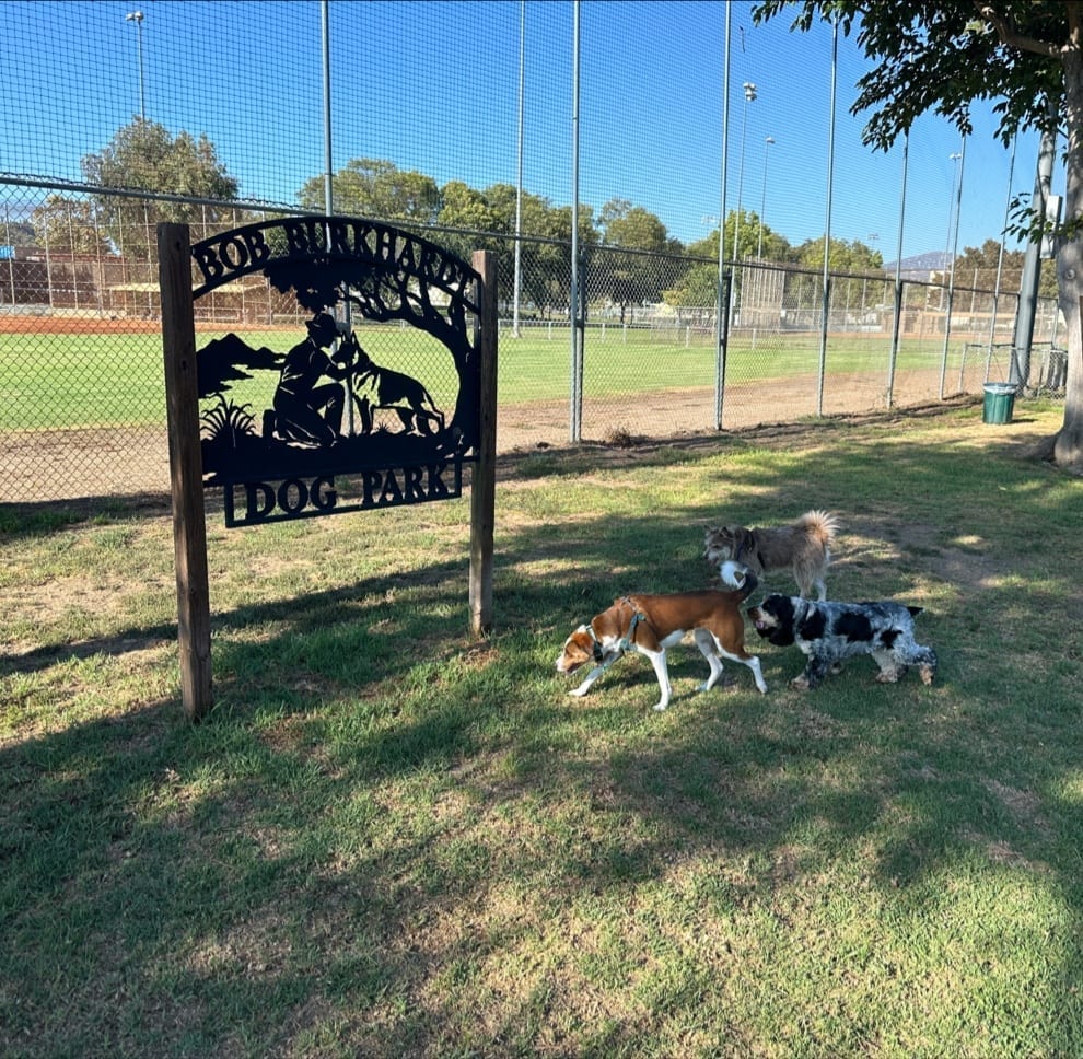 Poway Dog Park, photo 2