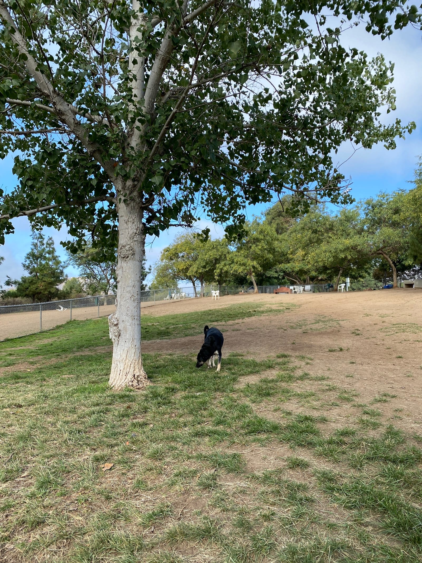 Rancho Bernardo Dog Park