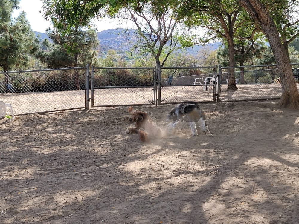 Rancho Bernardo Dog Park, photo 2