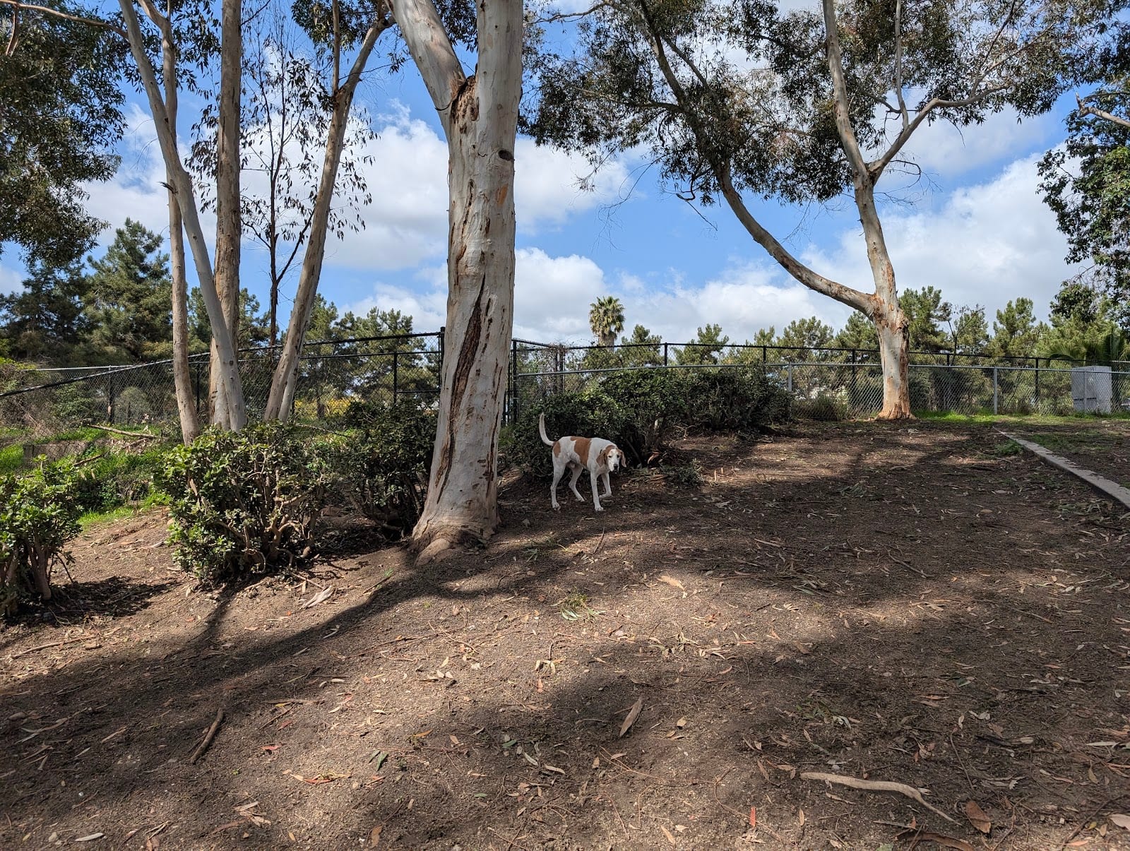 Ward Canyon Dog Park