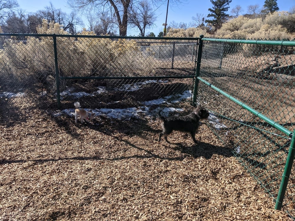 Fort Marcy Dog Park, photo 3