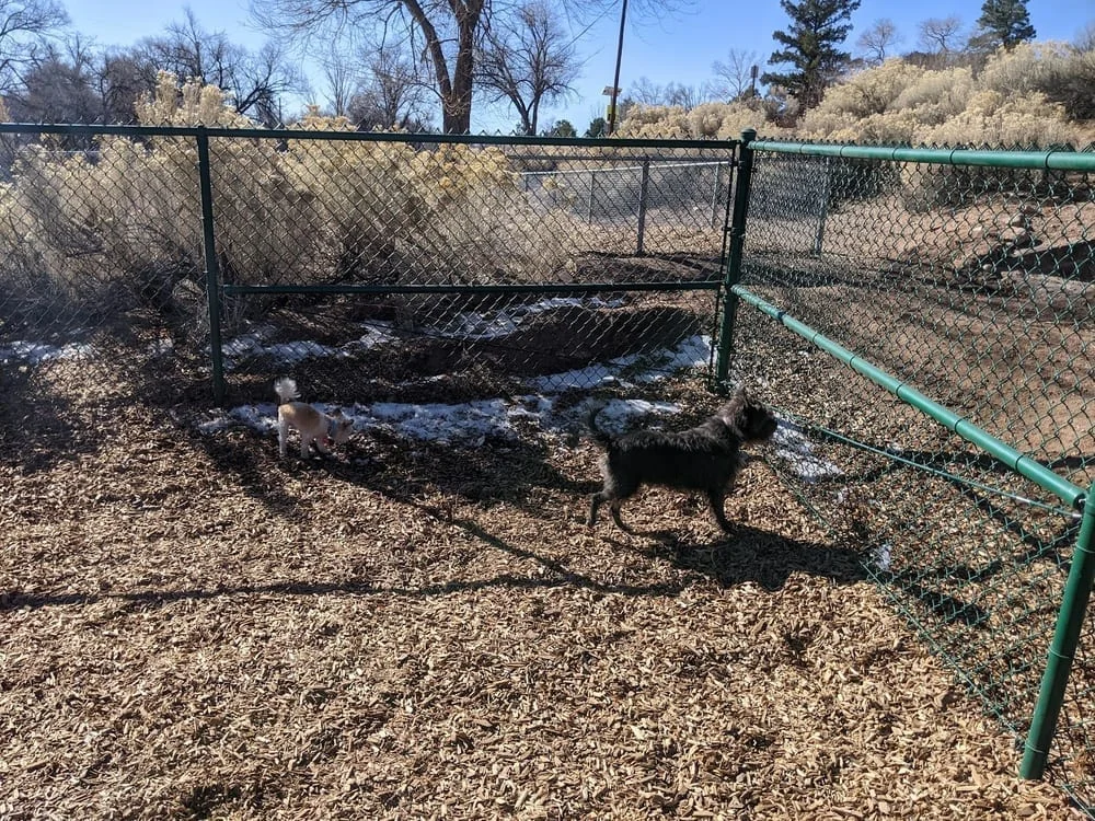 Fort Marcy Dog Park, photo 3