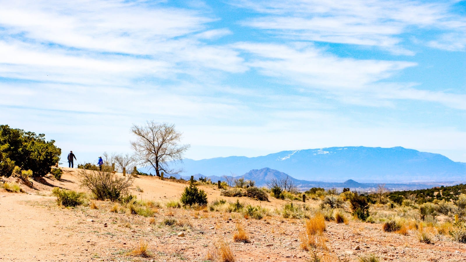 Dog park in Santa Fe