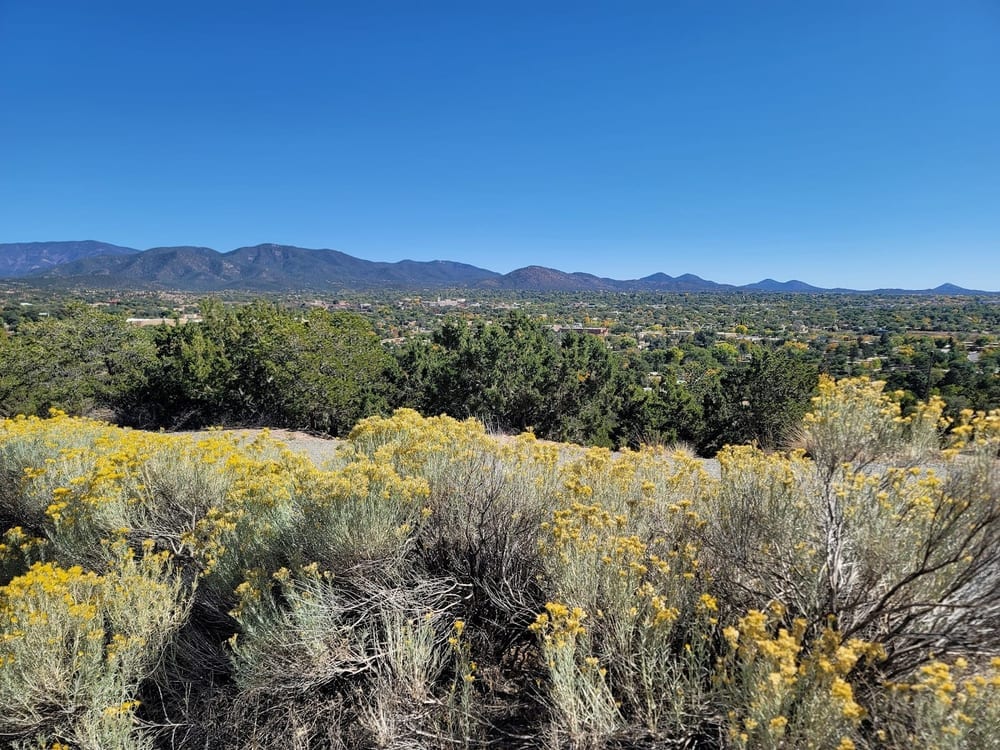 Frank S Ortiz Dog Park, photo 3
