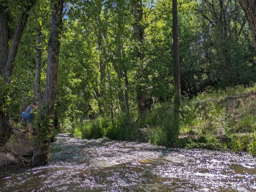 Patrick Smith Park, photo 2