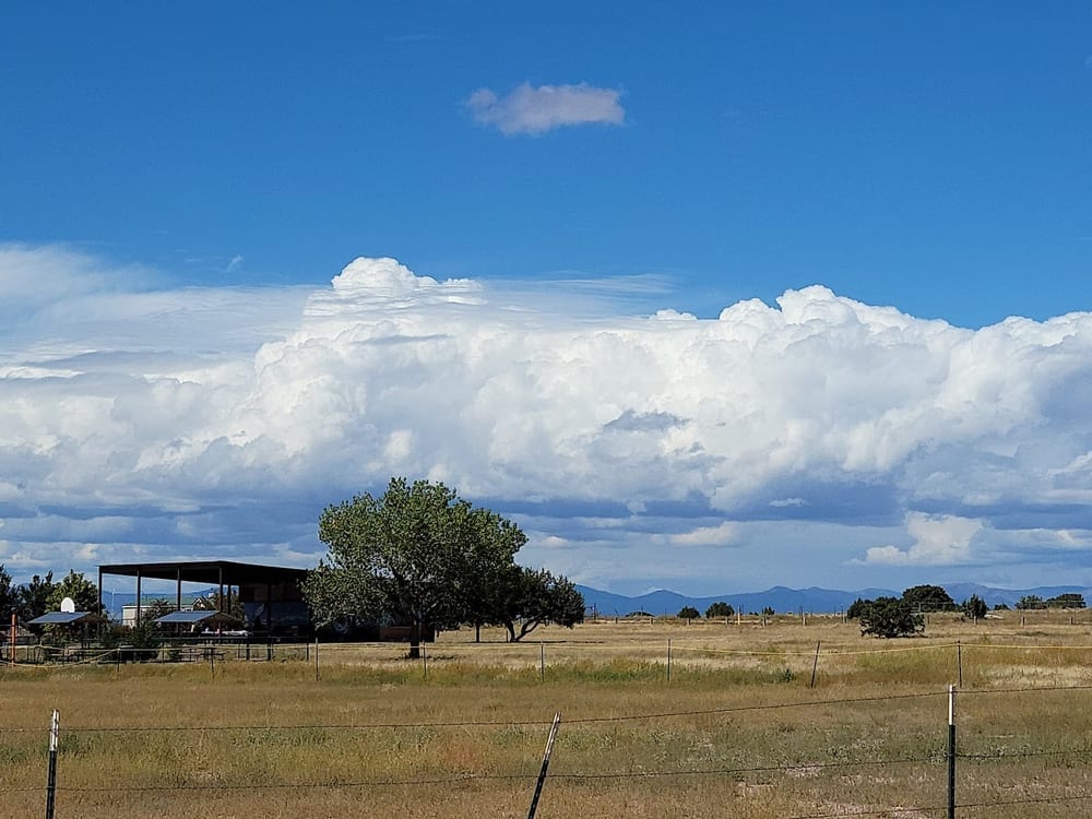 Romero Park, photo 2