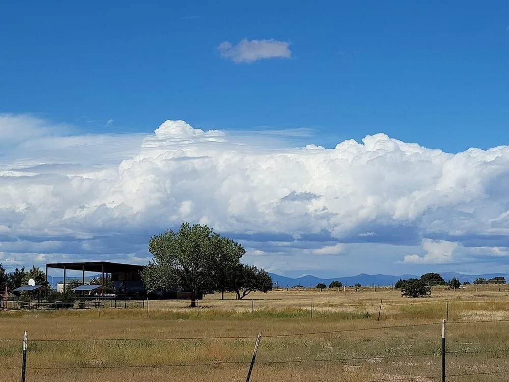 Romero Park, photo 2