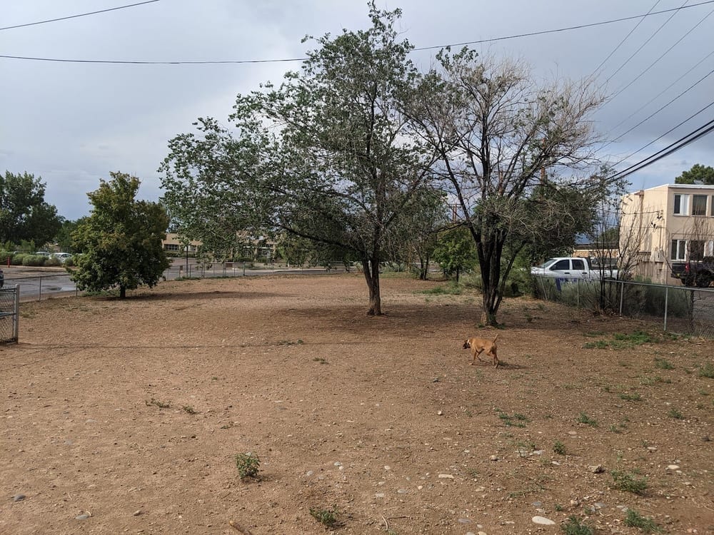 Salvador Perez Dog Park, photo 2