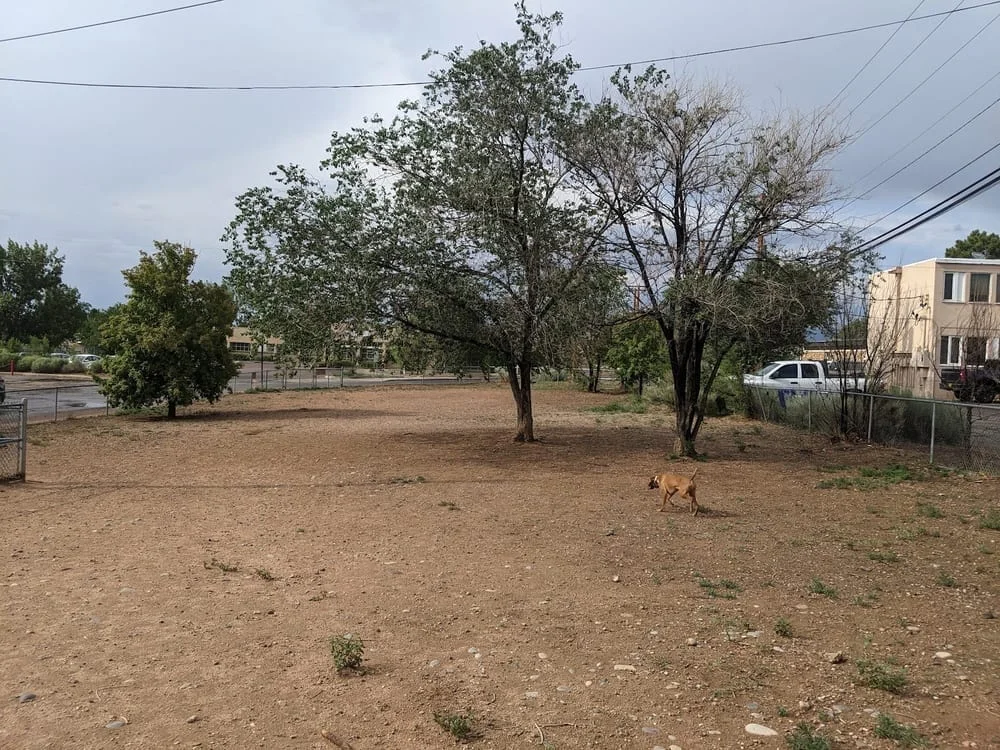 Salvador Perez Dog Park, photo 2
