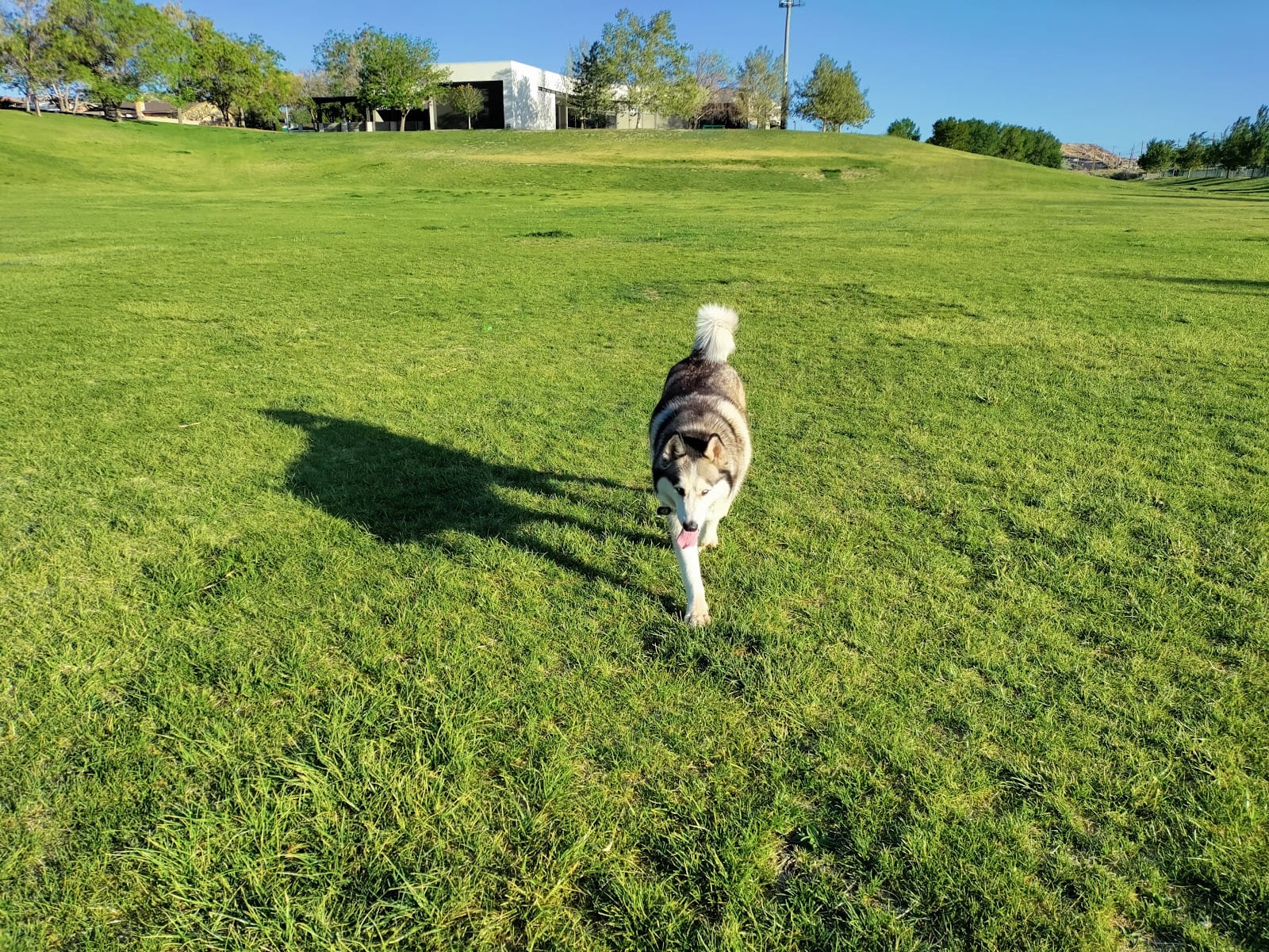 Santa Fe Village Dog Park