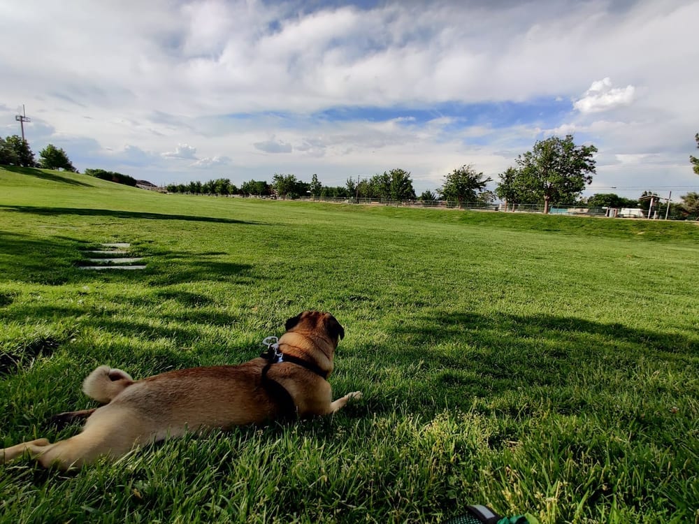 Santa Fe Village Dog Park, photo 2