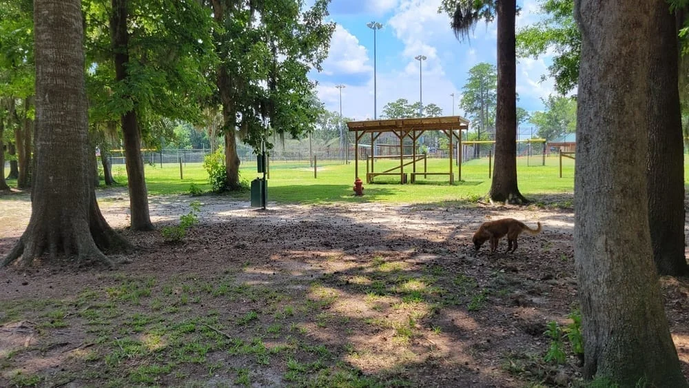 Bryan County Bark Park, photo 2