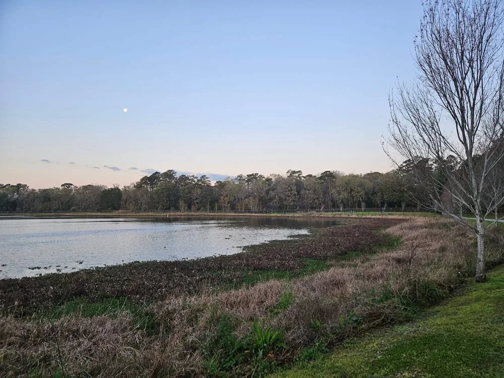Mohawk Dog Park, photo 3