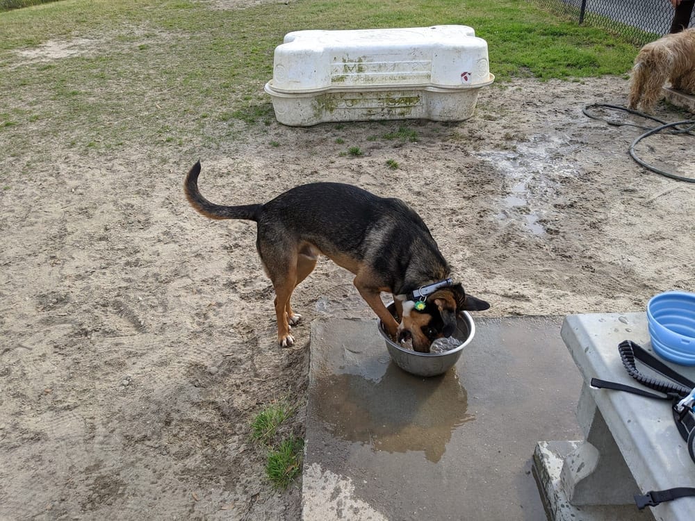 Mother Matilda Beasley Park, photo 3