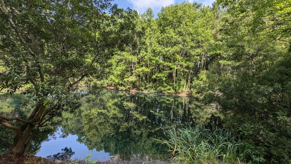 Tom Triplett Park, photo 3