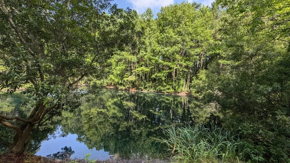 Tom Triplett Park, photo 3