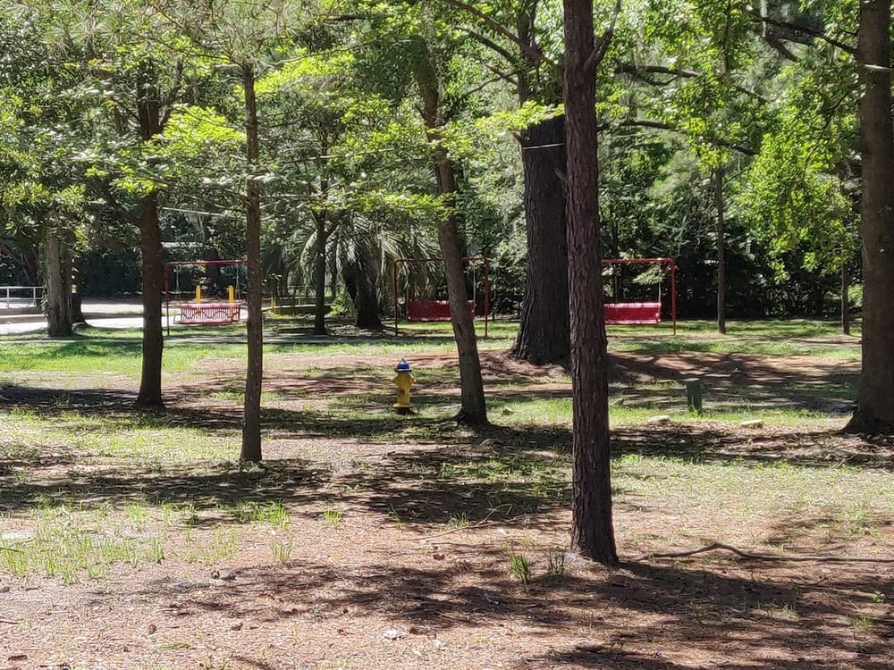 Windsor Neighborhood Park, photo 2