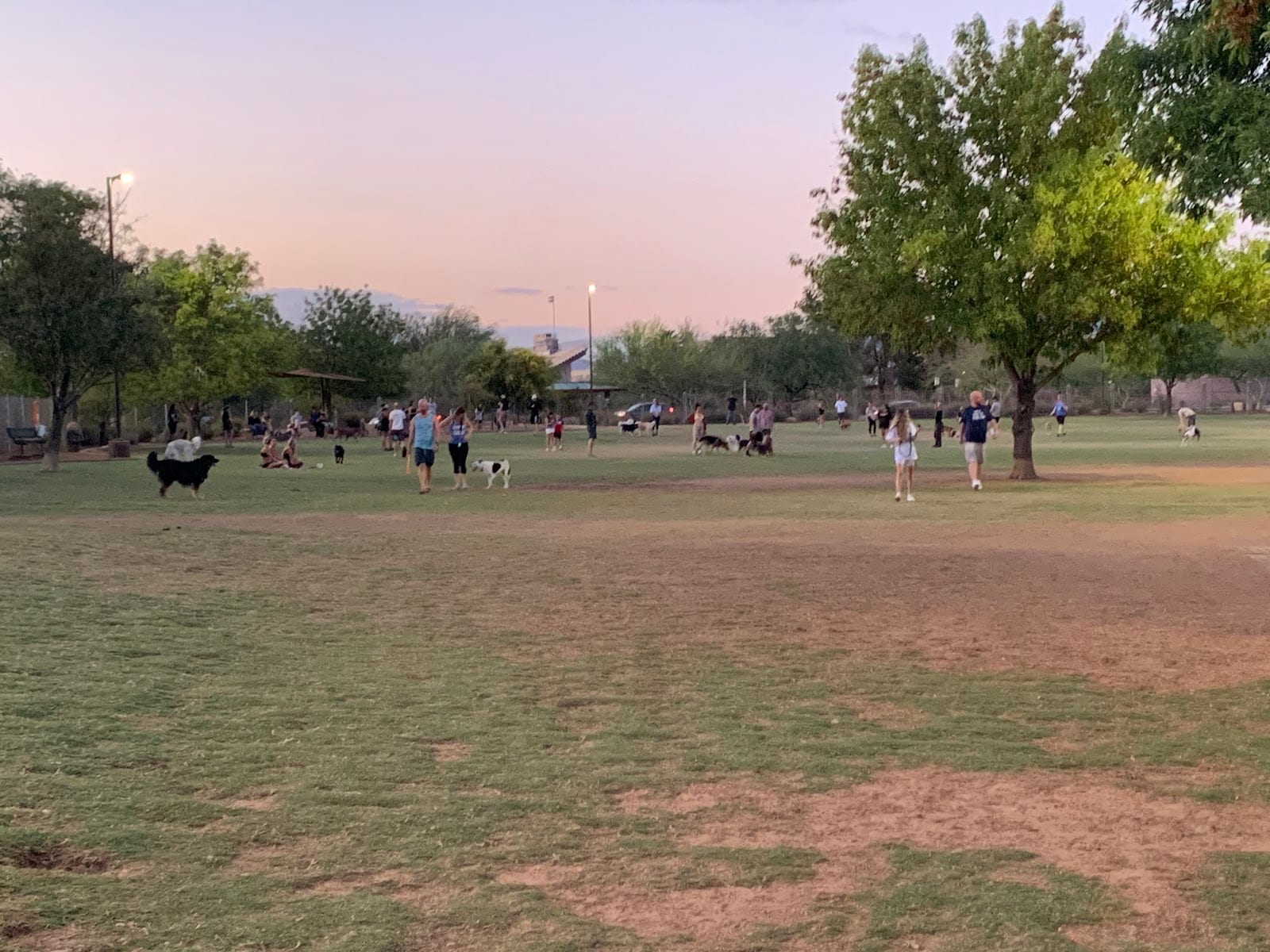 Chaparral Dog Park