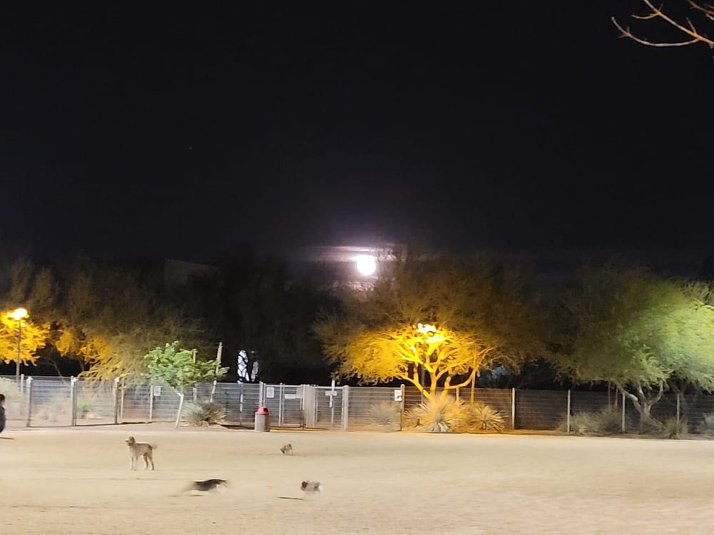 Chaparral Dog Park, photo 3