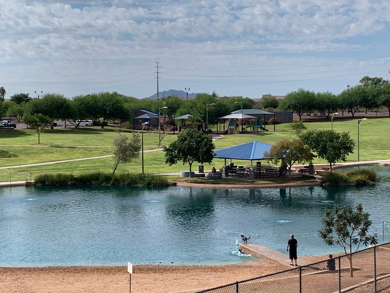 Dog park in Scottsdale