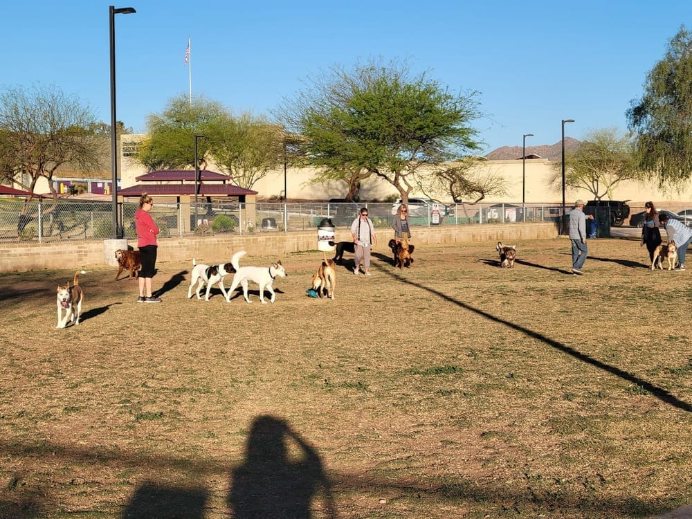 Desert Vista Dog Park, photo 2