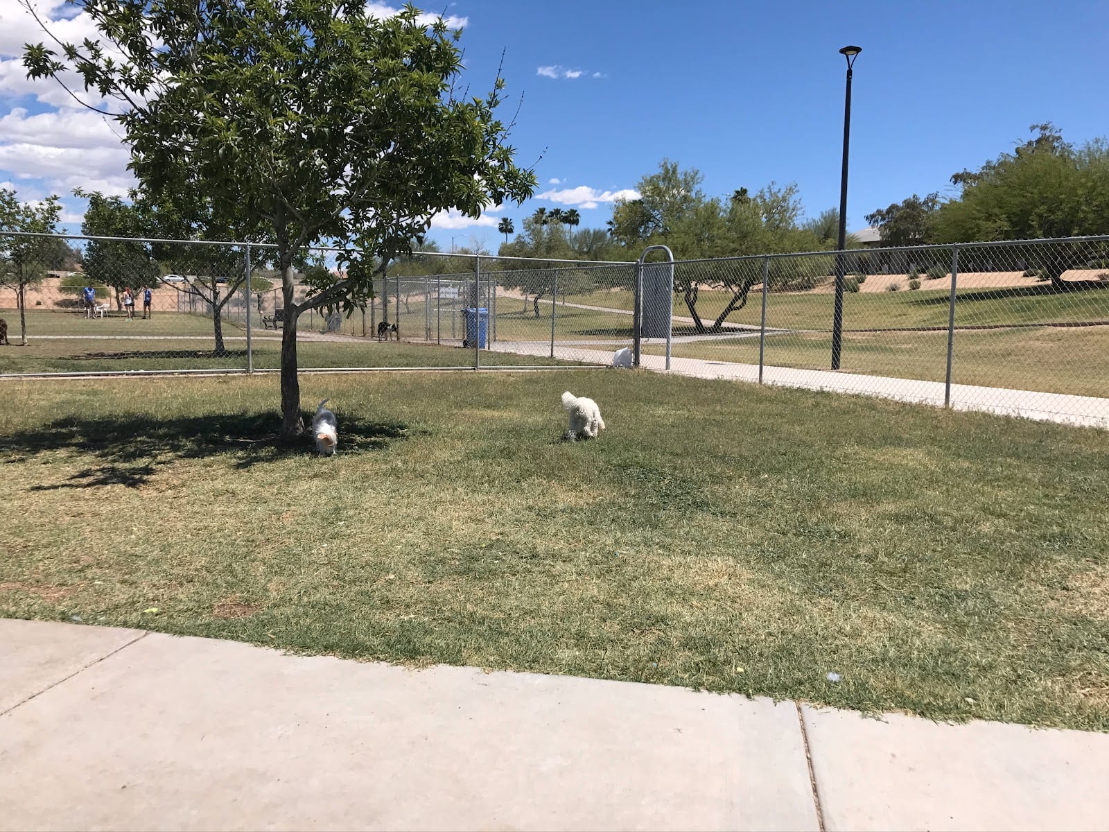 Grover Basin Dog Park