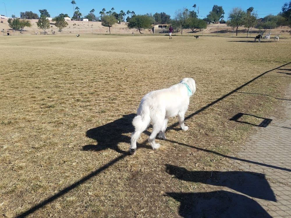 Grover Basin Dog Park, photo 2