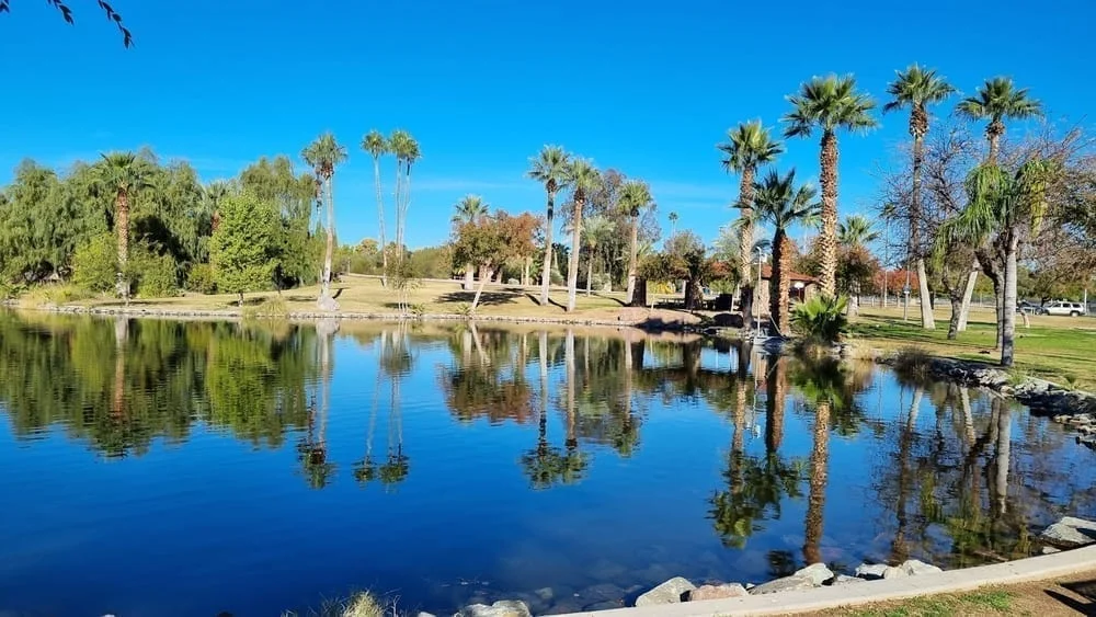 Papago Bark Park, photo 3