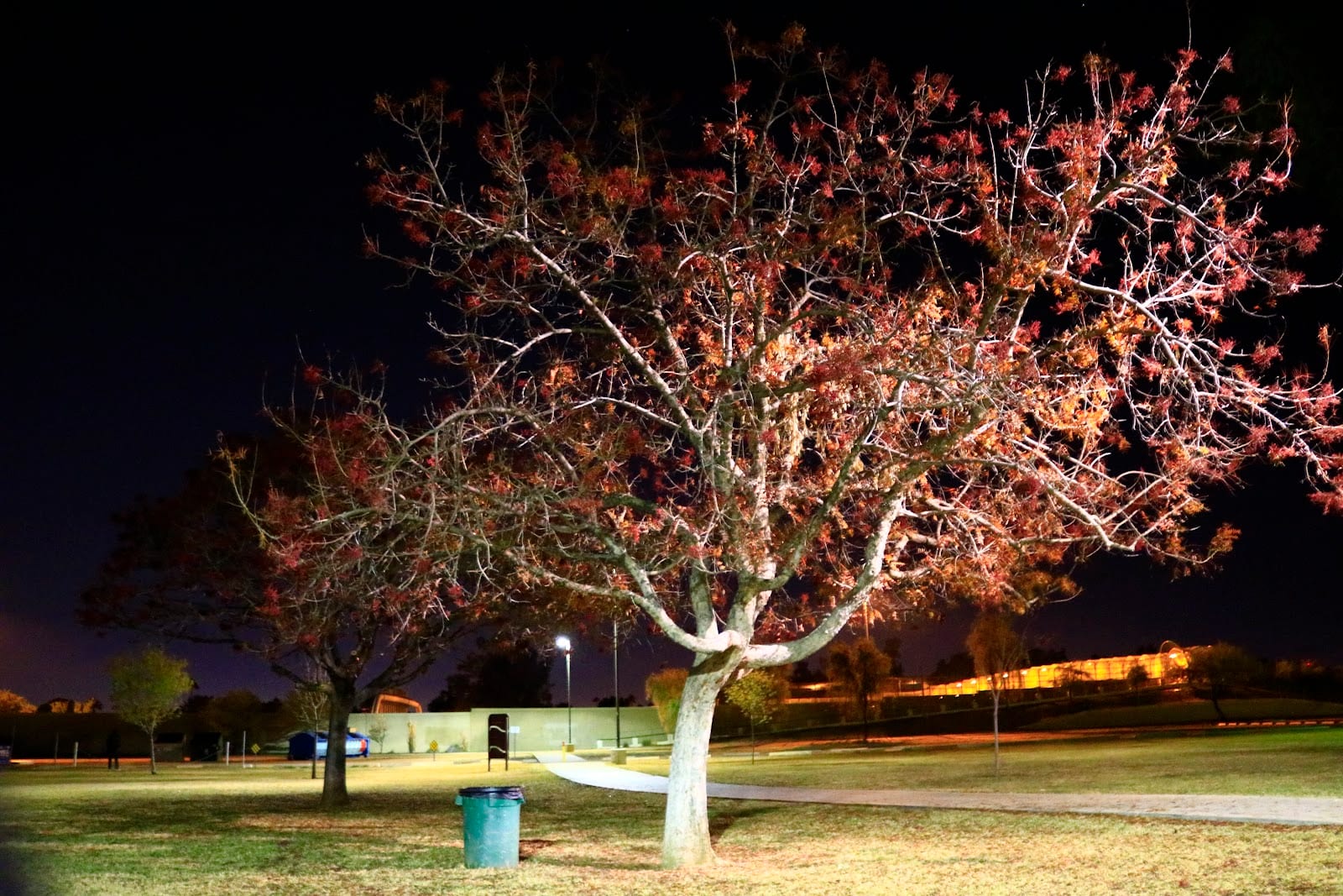 Paradise Valley Park